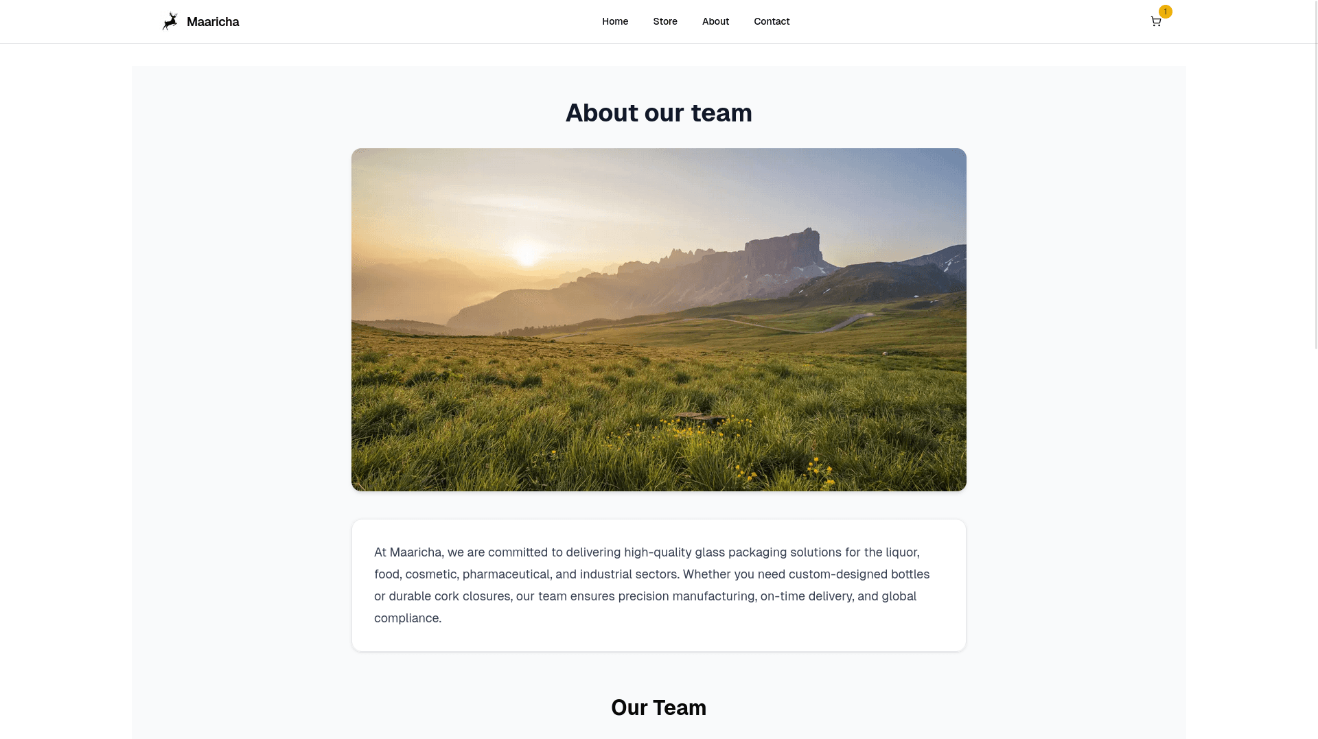 Website Builder & E-commerce - Image 4